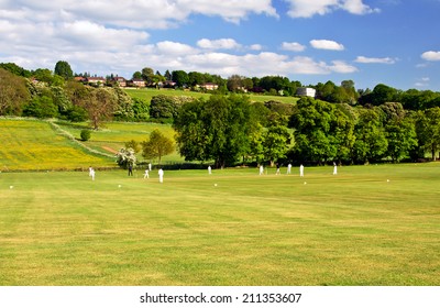 Cricket on a summer evening