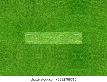 A cricket pitch direct top view of the layout with the grass cricket field