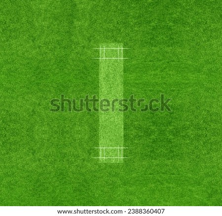 A cricket pitch direct top view of the layout with the grass cricket field. The pitch is inside the field.
