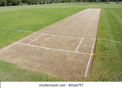 Cricket Pitch Empty