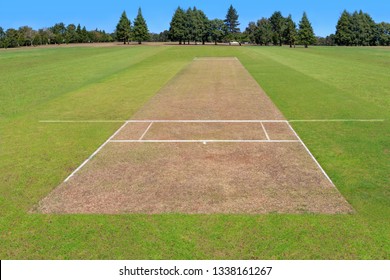Cricket pitch empty summer sport green grass field background