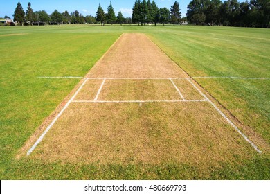 Cricket pitch, sport field