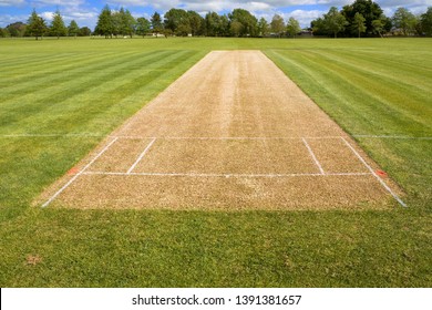 Cricket pitch sport grass field empty background