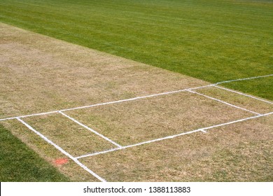 Cricket pitch summer sport grass field empty background