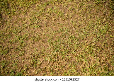 Cricket Pitch Texture Background Of Soil Favorite For Fast Bowler