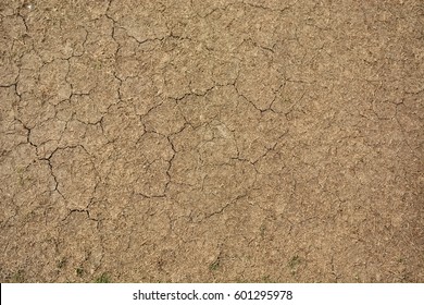 Cricket pitch texture background of soil