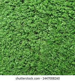 Cricket Pitch Texture Close Up. Green Grass. Indoor Cricket Turf Texture