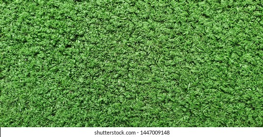 Cricket Pitch Texture. Green Grass. Indoor Cricket Turf Texture