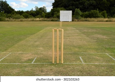 Cricket pitch with wicket and stumps