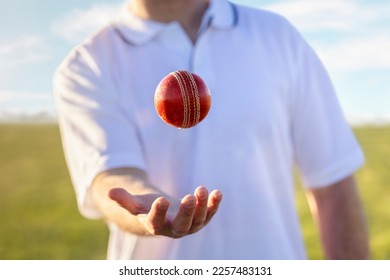 Cricket player bowler throwing up and catching red leather cricket ball ready to bowl at cricket pitch - Powered by Shutterstock