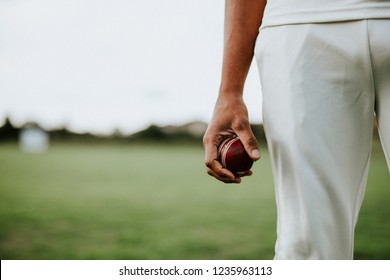 Cricket player holding a leather ball - Powered by Shutterstock