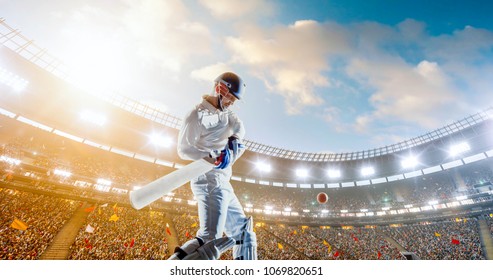 Cricket player on a professional stadium - Powered by Shutterstock