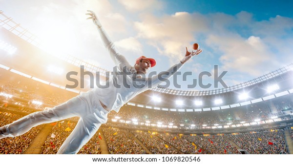 Cricket player on a\
professional stadium