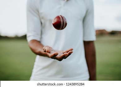 Cricket Player Ready To Throw The Ball