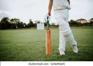 Cricket player standing on a field