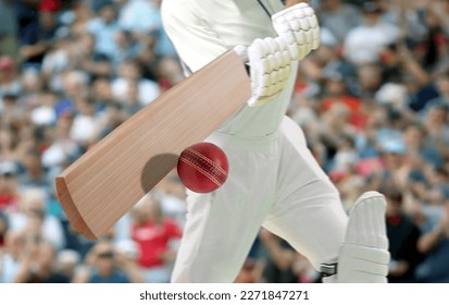 Cricket players batsman hitting ball in a stadium. - Powered by Shutterstock