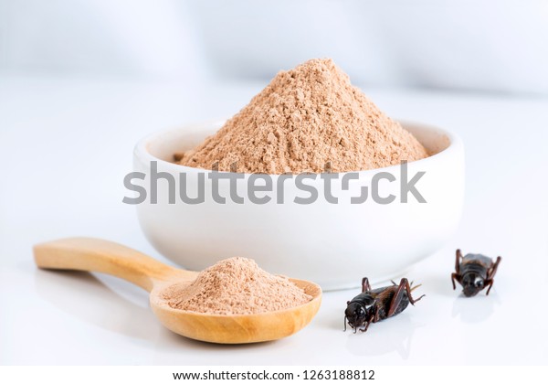 Cricket\
powder insect for eating as food items made of cooked insect meat\
in bowl and wood spoon on white background it is good source of\
protein edible for future. Entomophagy\
concept.