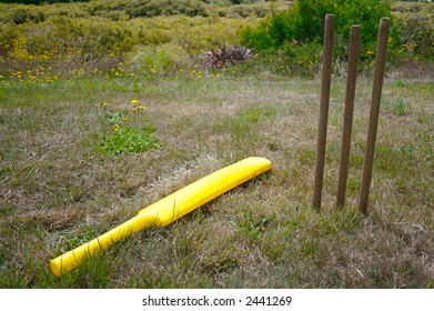 A Cricket Set In A Backyard.