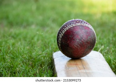 Cricket sport equipments, old leather ball, wooden bat, helmet, on grass court, soft and selective focus.