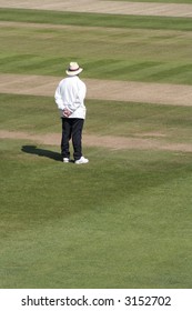 Cricket Umpire