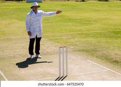 Cricket umpire signalling no ball during match on sunny day - Powered by Shutterstock