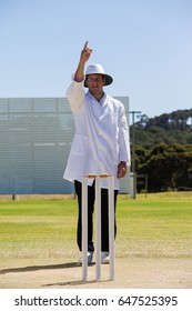 Cricket umpire signalling out during match on sunny day against clear sky