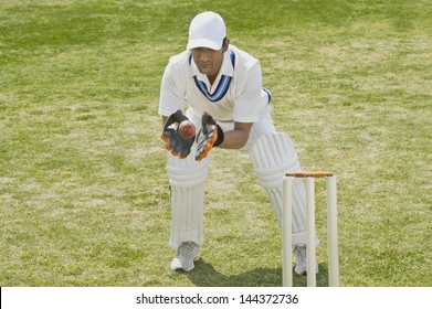 Cricket wicketkeeper catching a ball behind stumps - Powered by Shutterstock