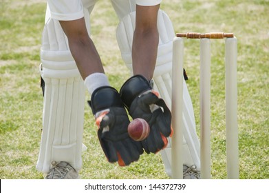 Cricket wicketkeeper catching a ball behind stumps - Powered by Shutterstock