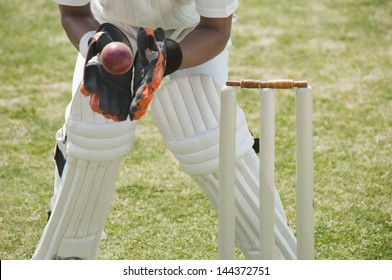 Cricket wicketkeeper catching a ball behind stumps - Powered by Shutterstock