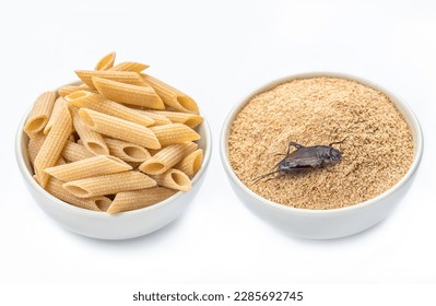 Crickets flour pasta and crickets powder for eating in white ceramic bowl, isolated white background. Close up. Source of protein. Organic food of the future. Entomophagy concept. Hight quality photo