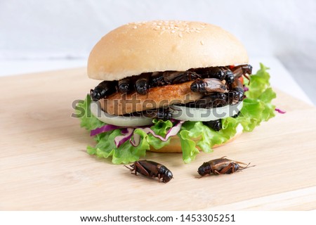 Similar – Image, Stock Photo Insects as food | sparrow with insect in beak