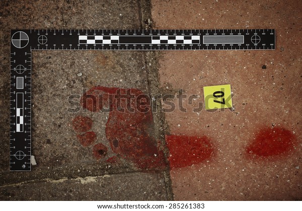 Crime Scene Investigation Bloody Footprint Stock Photo (Edit Now) 285261383