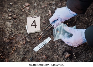 18,085 Forensic investigation Images, Stock Photos & Vectors | Shutterstock