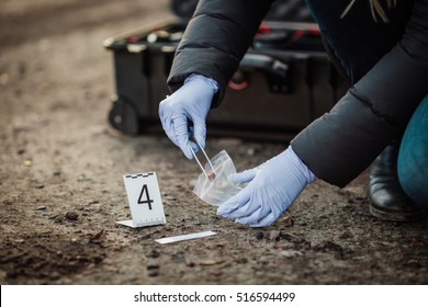 Crime Scene Investigation Collecting Bullet Pistol Stock Photo ...