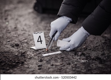 Crime Scene Investigation Collecting Evidence Stock Photo (edit Now 