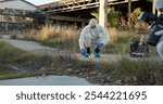 Crime scene, people and outdoor with equipment for forensics, evidence and investigation. Team, hazmat suit or photography in field for inspection, observation and documenting proof at police markers