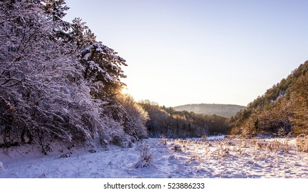 Crimea, Snowy Winter, Mountain Forest