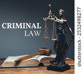 Criminal law focuses on offenses against the state, protecting rights, and ensuring justice. Criminal defense involves representing individuals accused of crimes, defending their rights in court.