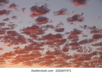 Crimson Red Clouds Scattered Across The Evening Sky