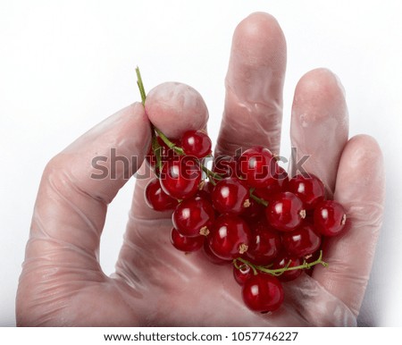 Similar – Foto Bild Kinderhand hällt frische Johannisbeeren