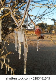 Crisp Icy Winter Morning After A Burst Water Pipe