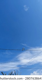 A crisp vertical capture of a boundless clear sky gradient with subtle dynamic clouds at the edge.