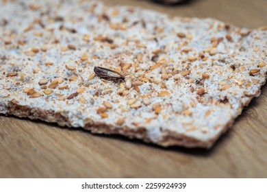 crispbread infested with food moth and associated caterpillar
 - Shutterstock ID 2259924939