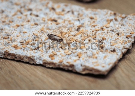 crispbread infested with food moth and associated caterpillar
