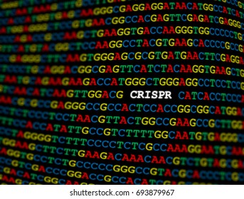 CRISPR locus on DNA sequence