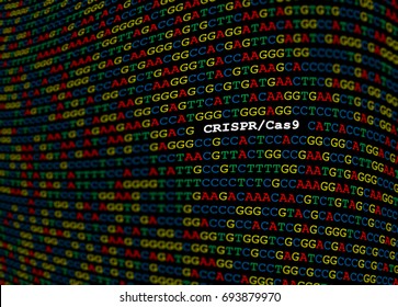 CRISPR-Cas9 locus on DNA sequence