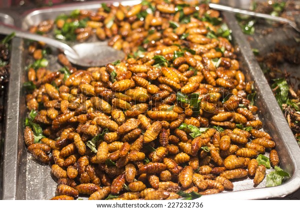 Crispy Critters Stock Photo Edit Now 227232736