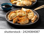 Crispy fried dumplings Gyoza with vegetables. Asian food.