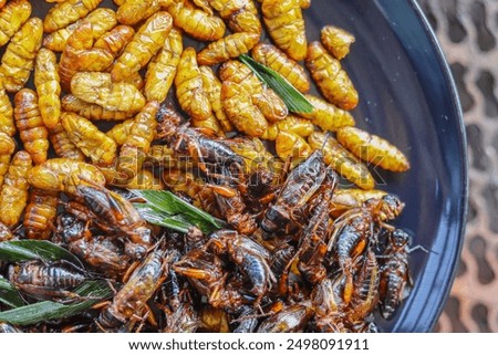 Crispy insects are served in black ceramic plates placed on tables made of steel grates, and fried insects are a popular food paired with alcoholic beverages as they are easy to find and very popular