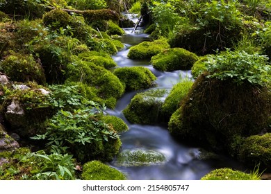 Cristal Clear Water Source of Alpine Drinkable Water  - Powered by Shutterstock